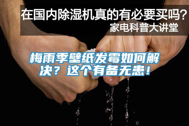 梅雨季壁紙發(fā)霉如何解決？這個(gè)有備無(wú)患！