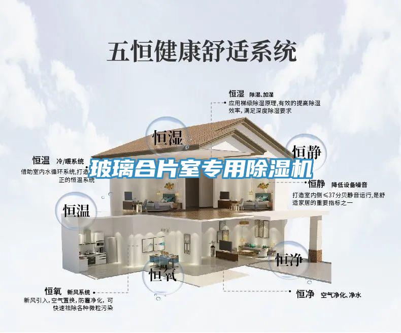 玻璃合片室專(zhuān)用除濕機(jī)
