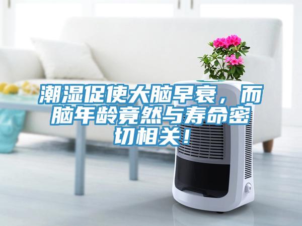 潮濕促使大腦早衰，而腦年齡竟然與壽命密切相關(guān)！