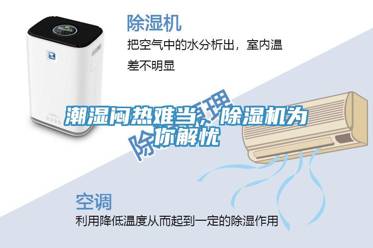 潮濕悶熱難當(dāng)，除濕機為你解憂