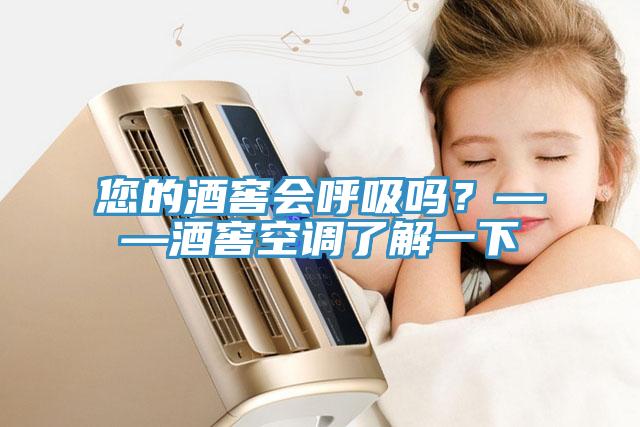 您的酒窖會(huì)呼吸嗎？——酒窖空調(diào)了解一下