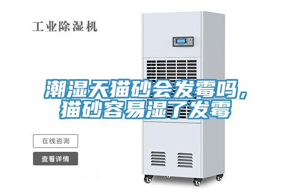 潮濕天貓砂會(huì)發(fā)霉嗎，貓砂容易濕了發(fā)霉