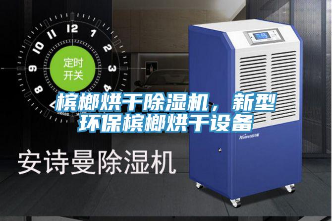 檳榔烘干除濕機，新型環(huán)保檳榔烘干設備