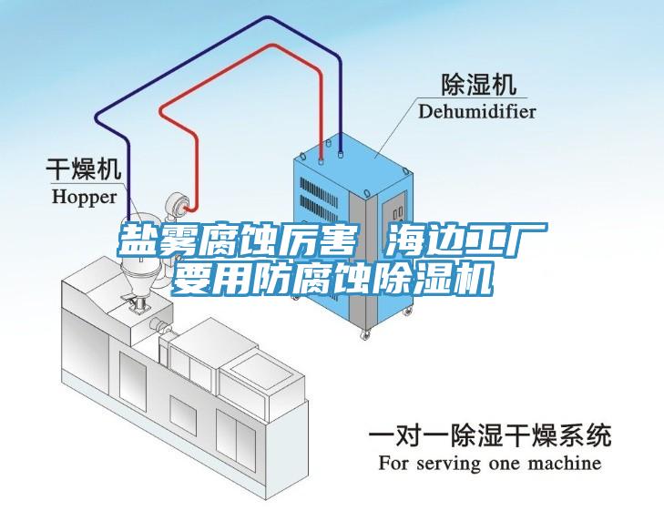 鹽霧腐蝕厲害 海邊工廠(chǎng)要用防腐蝕除濕機(jī)