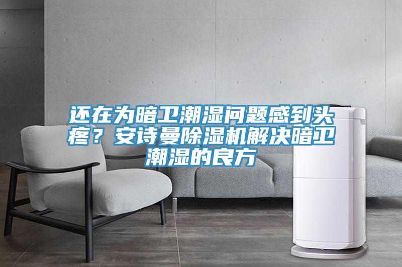 還在為暗衛(wèi)潮濕問(wèn)題感到頭疼？安詩(shī)曼除濕機(jī)解決暗衛(wèi)潮濕的良方