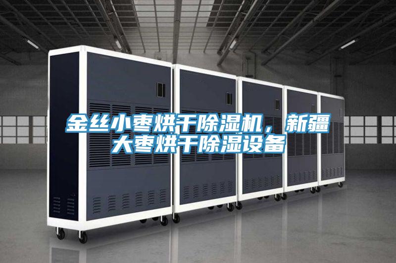 金絲小棗烘干除濕機(jī)，新疆大棗烘干除濕設(shè)備