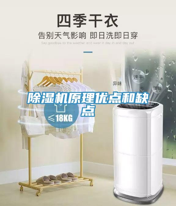 除濕機(jī)原理優(yōu)點(diǎn)和缺點(diǎn)