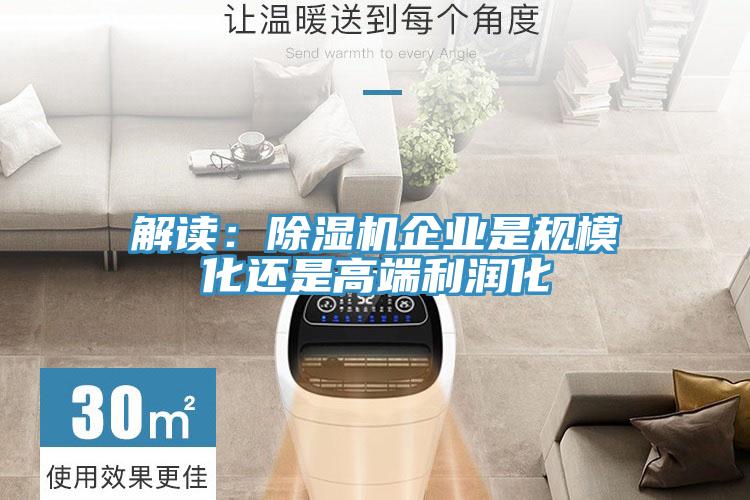 解讀：除濕機(jī)企業(yè)是規(guī)模化還是高端利潤化