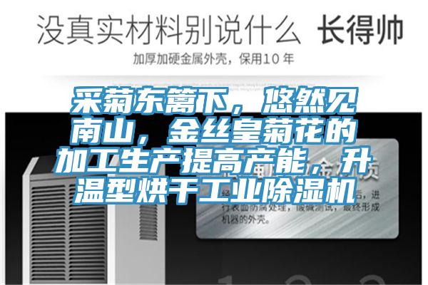 采菊東籬下，悠然見南山，金絲皇菊花的加工生產(chǎn)提高產(chǎn)能，升溫型烘干工業(yè)除濕機(jī)