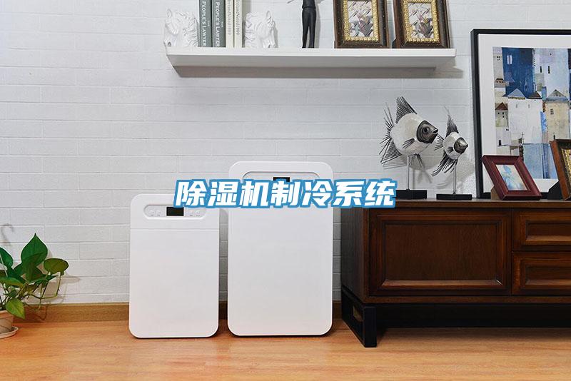 除濕機制冷系統(tǒng)