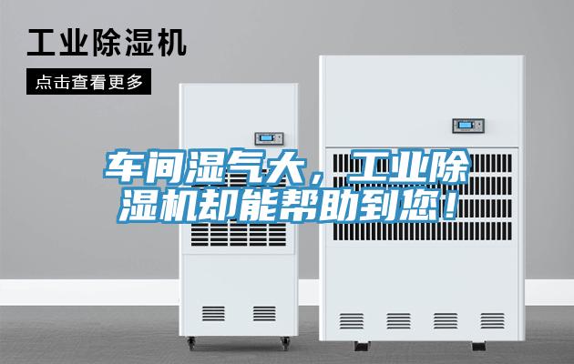 車間濕氣大，工業(yè)除濕機(jī)卻能幫助到您！