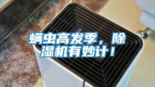 螨蟲高發(fā)季，除濕機(jī)有妙計(jì)！