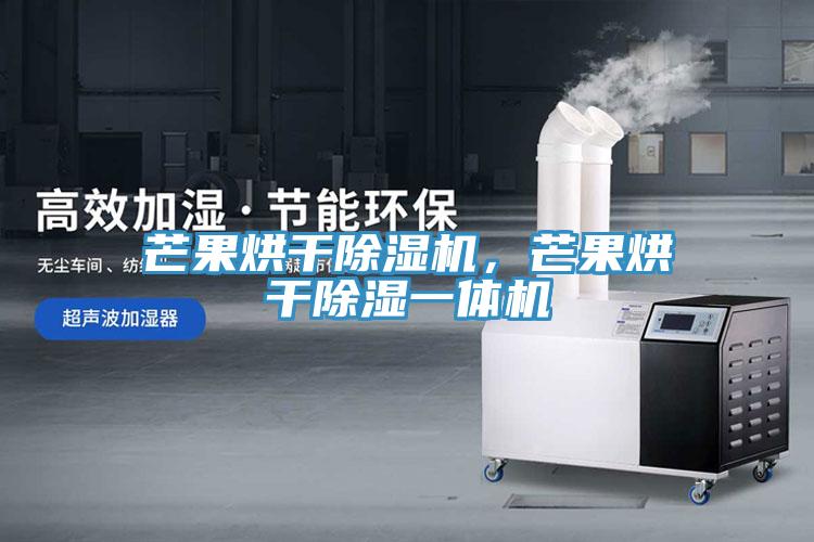 芒果烘干除濕機(jī)，芒果烘干除濕一體機(jī)