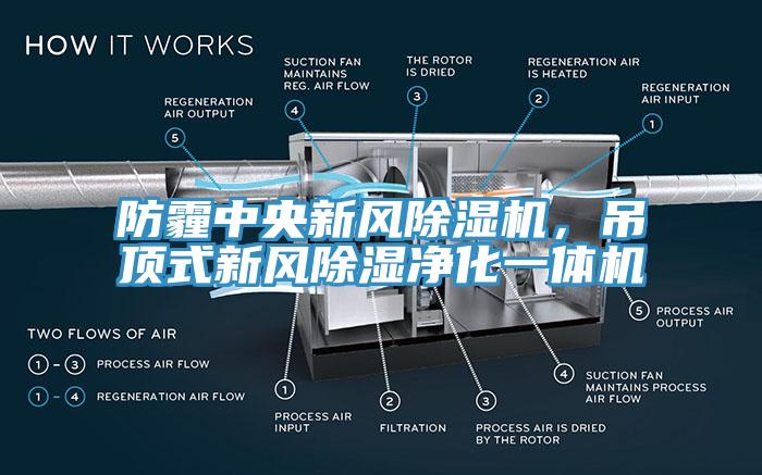 防霾中央新風(fēng)除濕機(jī)，吊頂式新風(fēng)除濕凈化一體機(jī)