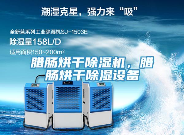 臘腸烘干除濕機，臘腸烘干除濕設備