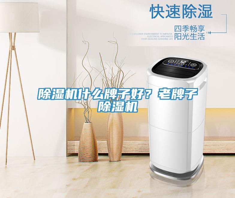 除濕機什么牌子好？老牌子除濕機