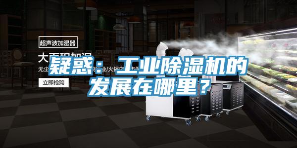 疑惑：工業(yè)除濕機(jī)的發(fā)展在哪里？