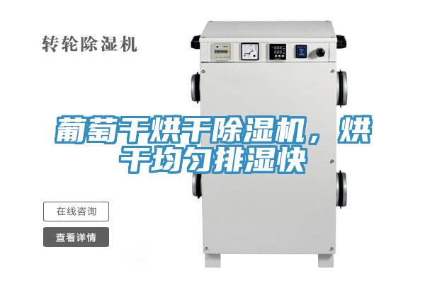 葡萄干烘干除濕機(jī)，烘干均勻排濕快