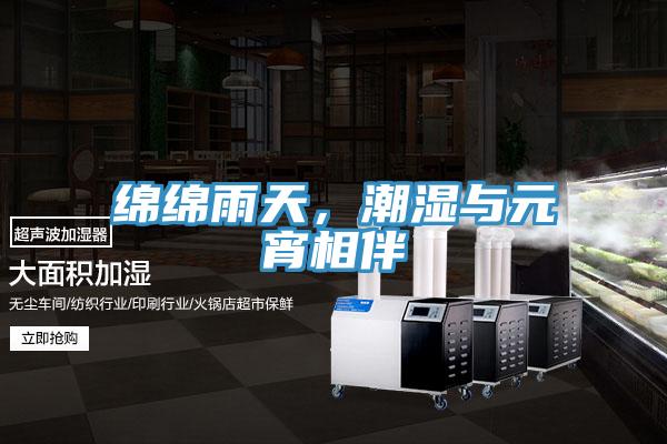 綿綿雨天，潮濕與元宵相伴