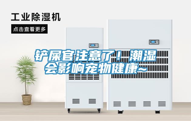 鏟屎官注意了！潮濕會影響寵物健康~