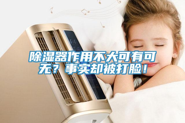 除濕器作用不大可有可無(wú)？事實(shí)卻被打臉！
