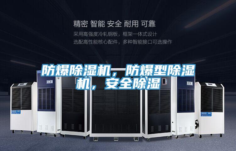 防爆除濕機(jī)，防爆型除濕機(jī)，安全除濕