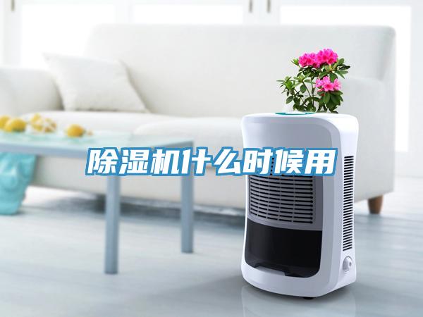 除濕機什么時候用