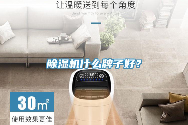 除濕機什么牌子好？