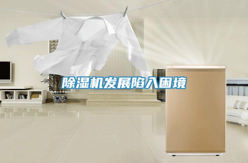 除濕機(jī)發(fā)展陷入困境