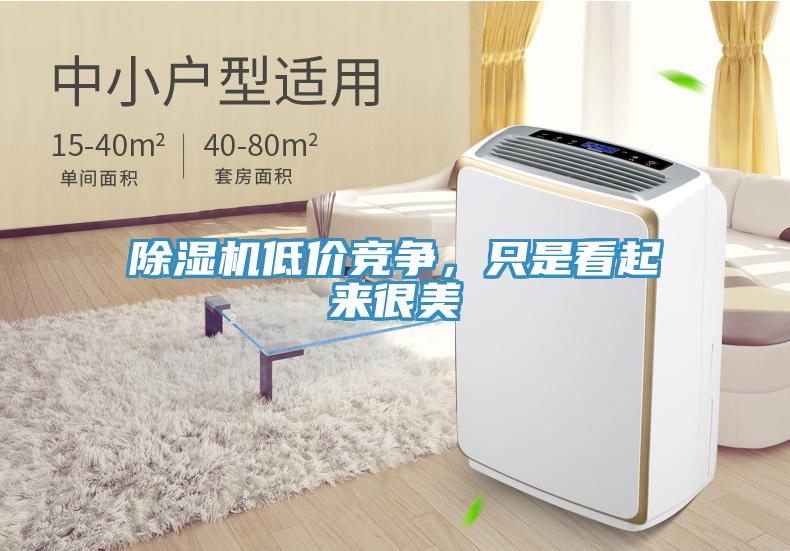除濕機低價競爭，只是看起來很美