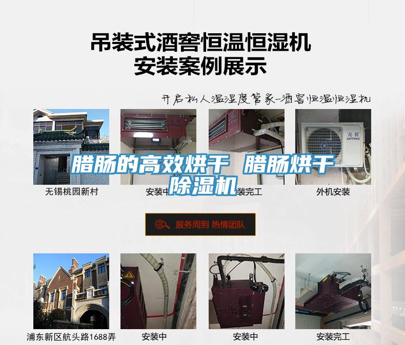 臘腸的高效烘干 臘腸烘干除濕機(jī)