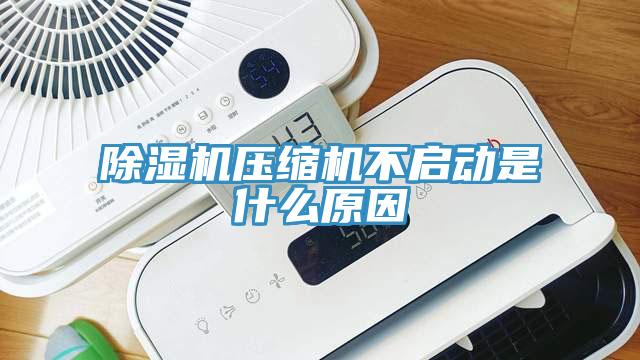 除濕機(jī)壓縮機(jī)不啟動是什么原因