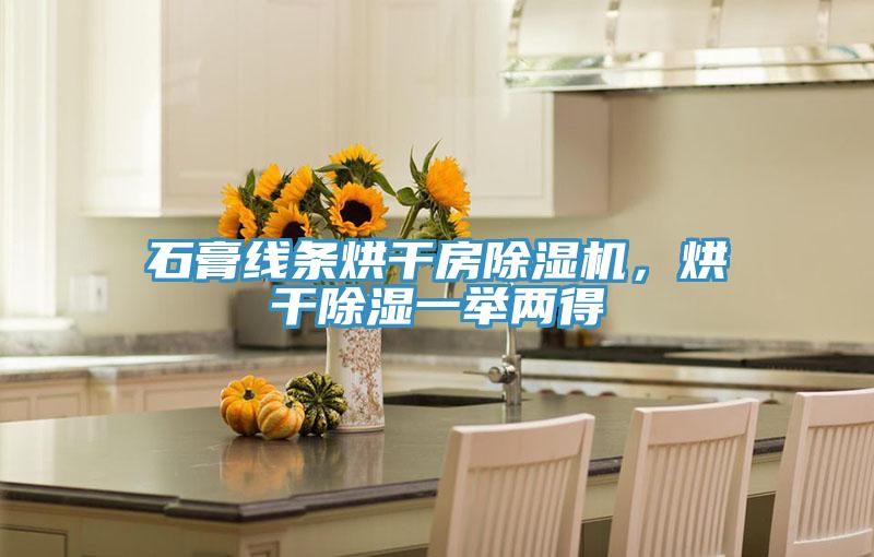 石膏線條烘干房除濕機(jī)，烘干除濕一舉兩得