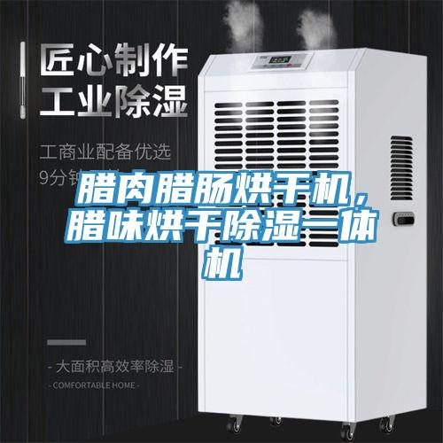 臘肉臘腸烘干機(jī)，臘味烘干除濕一體機(jī)