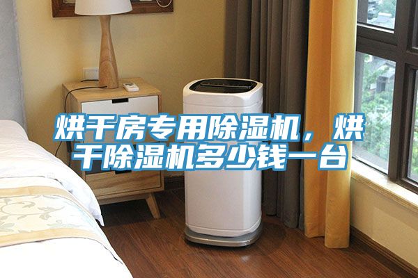 烘干房專用除濕機(jī)，烘干除濕機(jī)多少錢一臺
