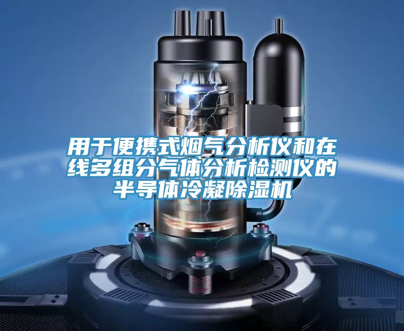 用于便攜式煙氣分析儀和在線多組分氣體分析檢測儀的半導(dǎo)體冷凝除濕機