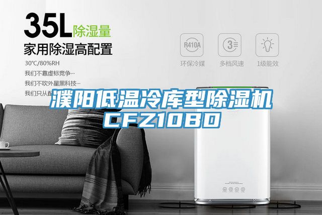 濮陽(yáng)低溫冷庫(kù)型除濕機(jī)CFZ10BD