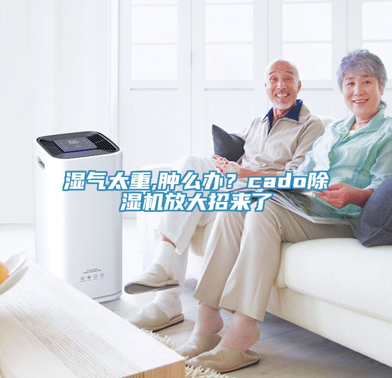 濕氣太重,腫么辦？cado除濕機放大招來了