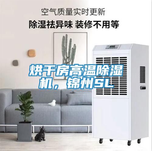 烘干房高溫除濕機(jī)，錦州SL