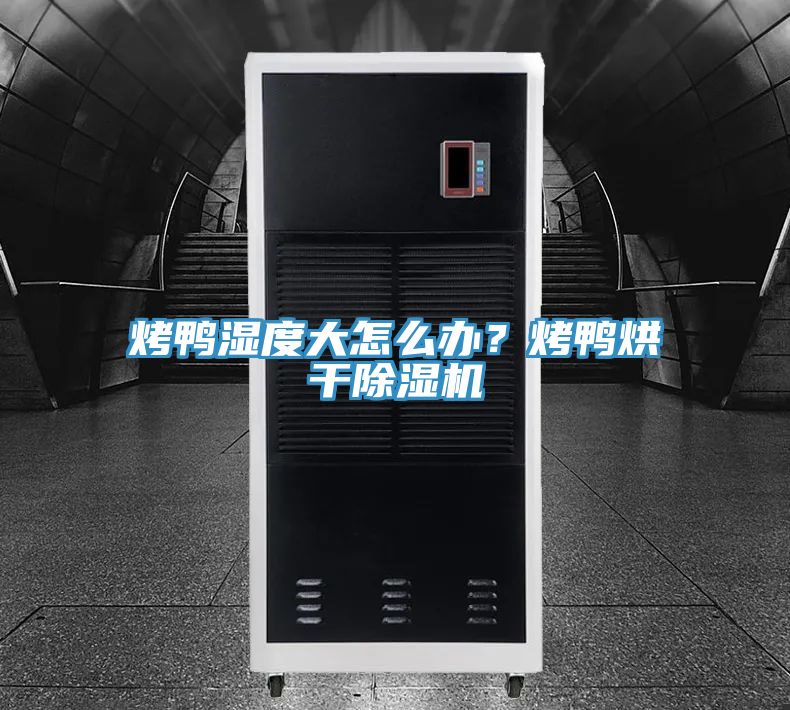 烤鴨濕度大怎么辦？烤鴨烘干除濕機(jī)