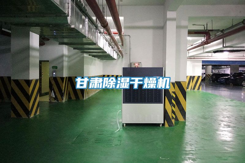 甘肅除濕干燥機(jī)