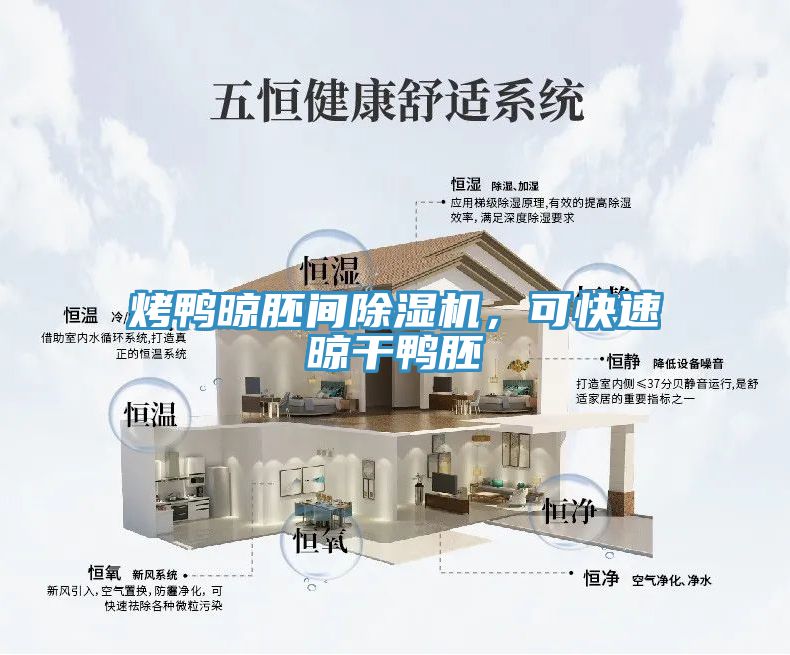 烤鴨晾胚間除濕機(jī)，可快速晾干鴨胚