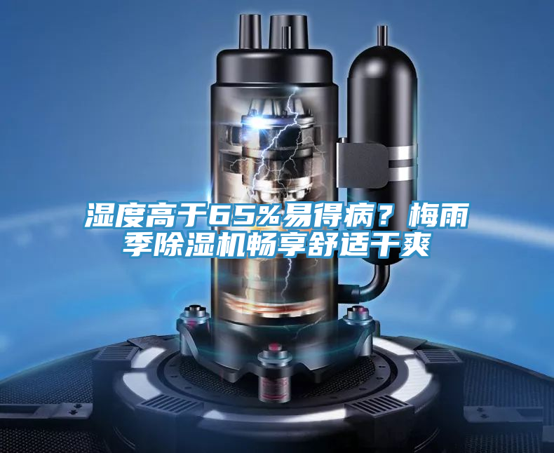 濕度高于65%易得病？梅雨季除濕機暢享舒適干爽