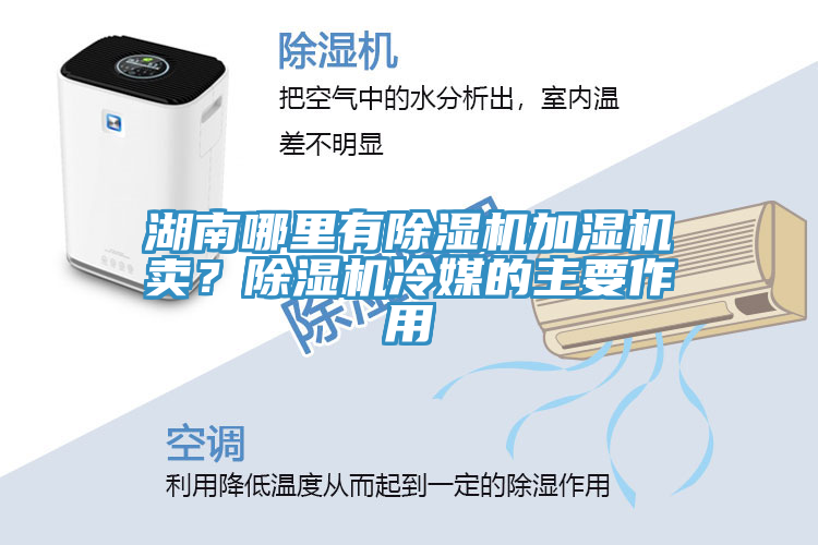 湖南哪里有除濕機加濕機賣？除濕機冷媒的主要作用