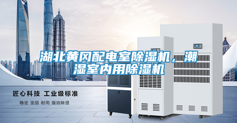 湖北黃岡配電室除濕機，潮濕室內(nèi)用除濕機