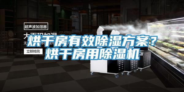 烘干房有效除濕方案？烘干房用除濕機(jī)