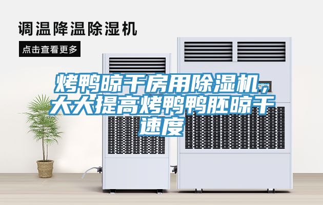 烤鴨晾干房用除濕機(jī)，大大提高烤鴨鴨胚晾干速度