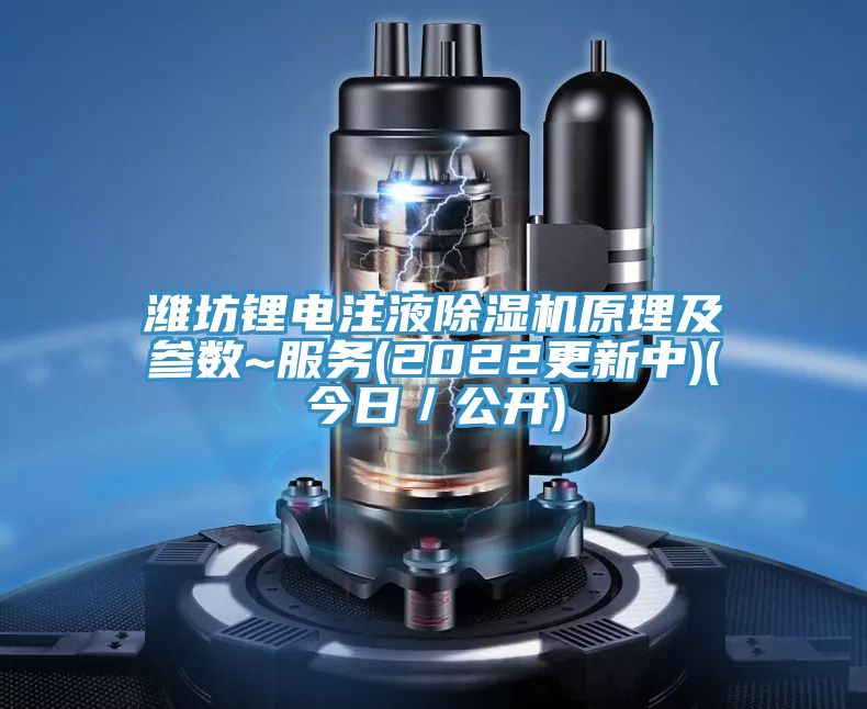 濰坊鋰電注液除濕機(jī)原理及參數(shù)~服務(wù)(2022更新中)(今日／公開(kāi))