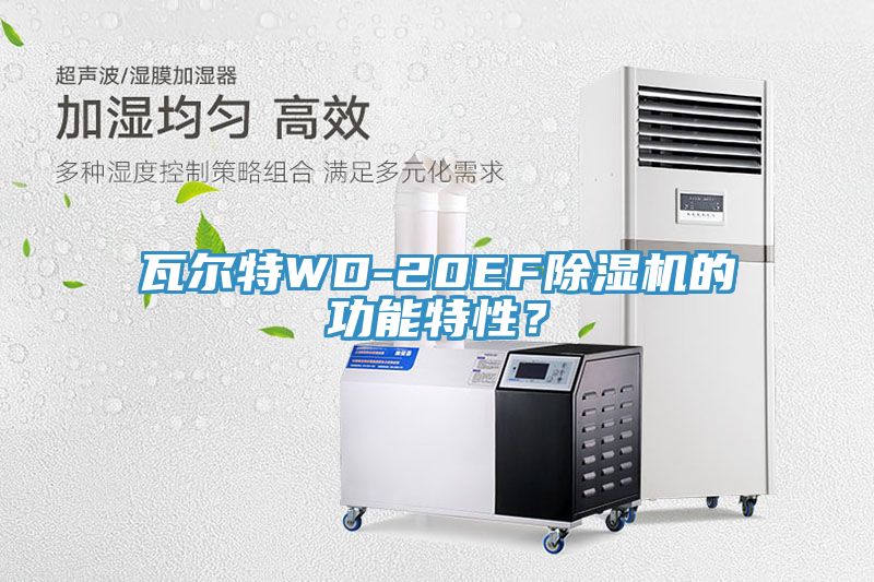 瓦爾特WD-20EF除濕機(jī)的功能特性？