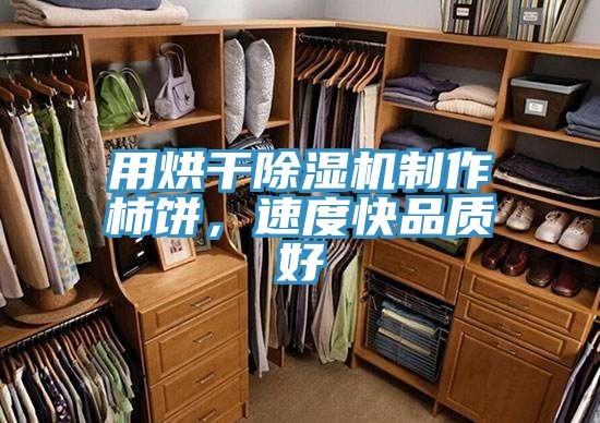 用烘干除濕機制作柿餅，速度快品質(zhì)好